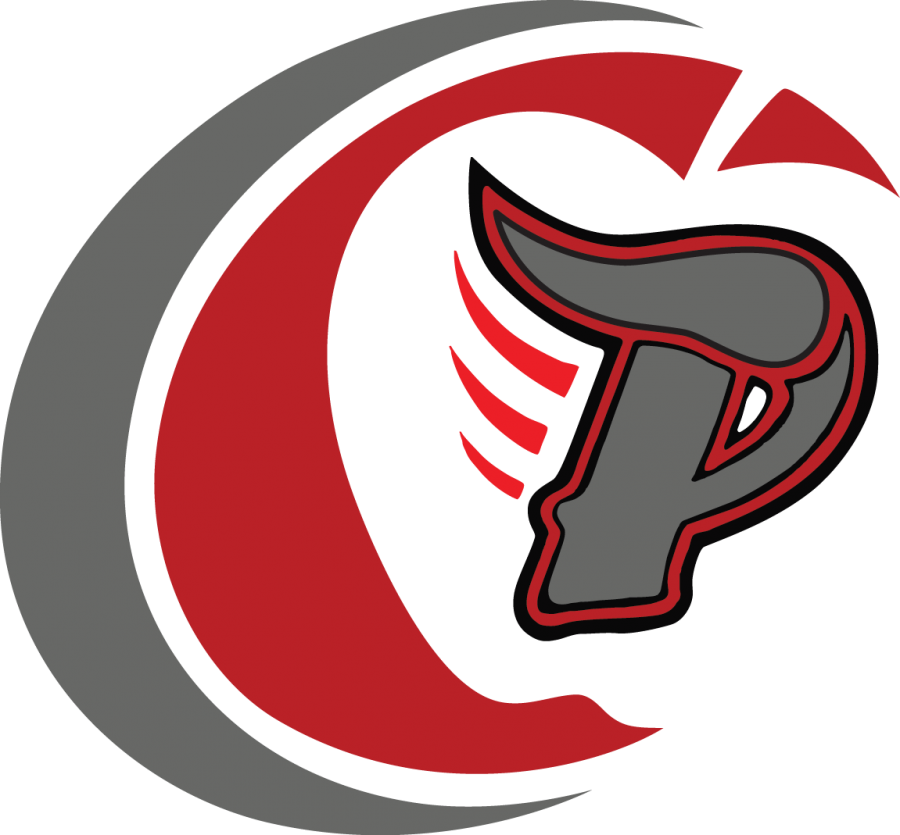 flying p logo
